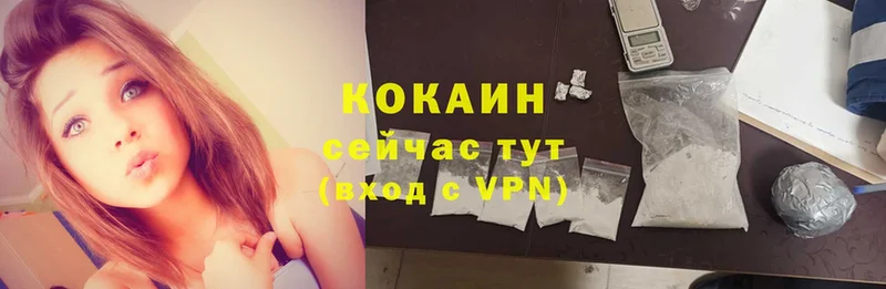 где купить наркотик  Кудымкар  COCAIN VHQ 