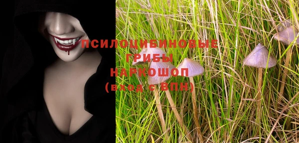 мдпв Надым