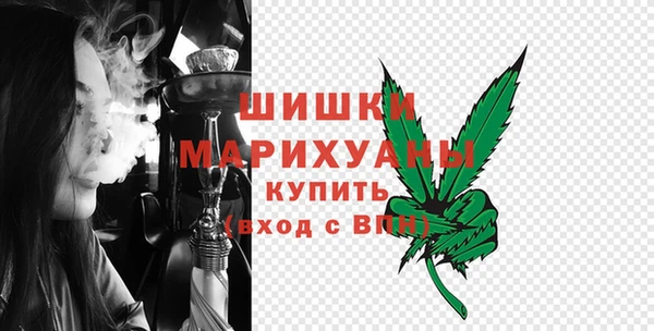 тгк Нея