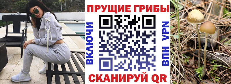 Галлюциногенные грибы мицелий  где найти   Кудымкар 