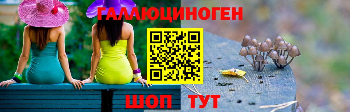 Кудымкар  Псилоцибиновые грибы Cubensis  Вход с VPN  купить наркоту  Псилоцибиновые грибы Psilocybine cubensis 